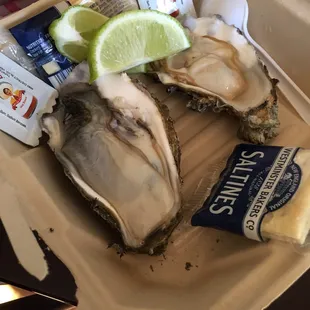 Oysters
