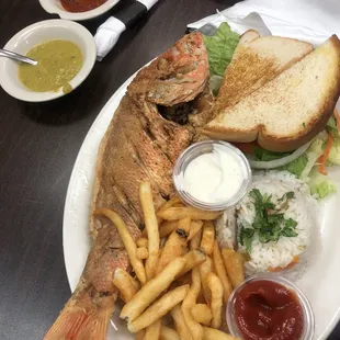 Fried red snapper