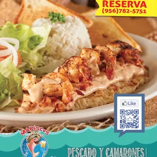 food, donuts, dough desserts