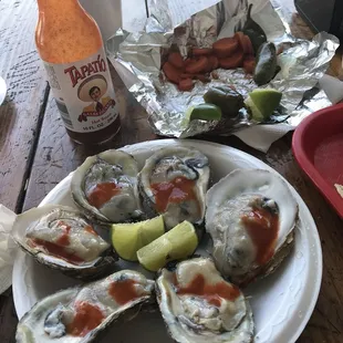 Amazing Oysters in Wilma&apos;s
