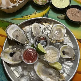 Fresh Oysters on the 1/2 Shell