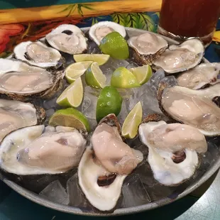 Dozen oysters!