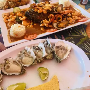food, oysters, shellfish, mussels, oysters and mussels