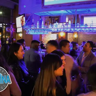 oysters and mussels, interior