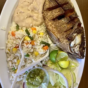 a plate of food