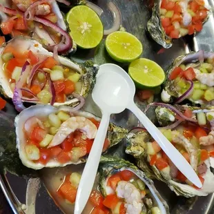 Oysters