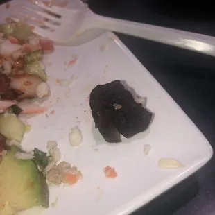 Dry, old, octopus