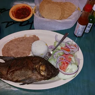 Fryyyyyy FISH