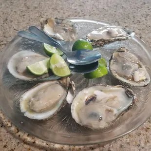 food, oysters, shellfish, mussels, oysters and mussels