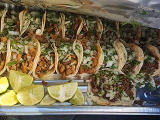 Taqueria Maguey
