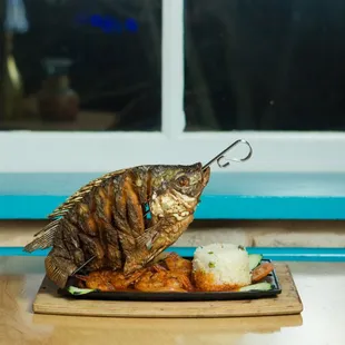 a grilled fish on a plate