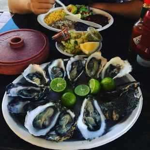 mussels, shellfish, oysters, food, oysters and mussels