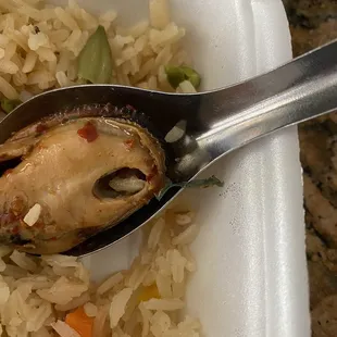 Plastic in the mussels