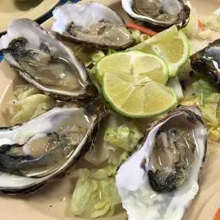 Not too shabby for being in the OC or Santa Ana