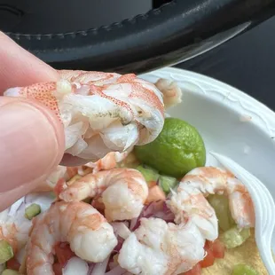 Multiple pieces of shrimp not cleaned...
