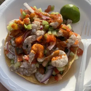 Shrimp Ceviche Tostada