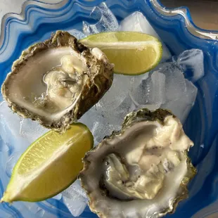 Napa oysters
