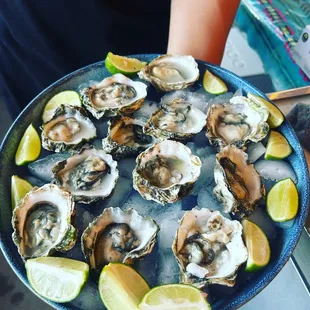 Oysters from Baja California