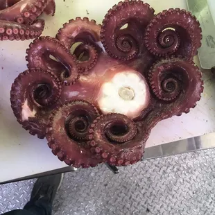 Our Octopus is always high quality and fresh