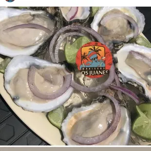 oysters and mussels, mussels, food, shellfish, oysters