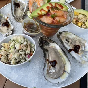 shellfish, oysters, mussels, food, oysters and mussels