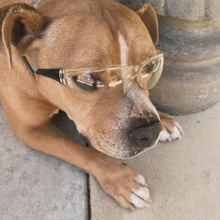 W U.