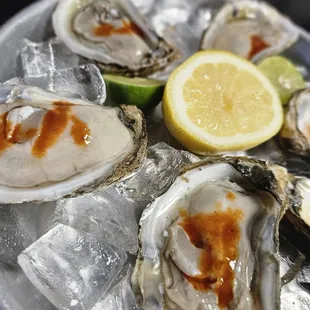 a plate of oysters
