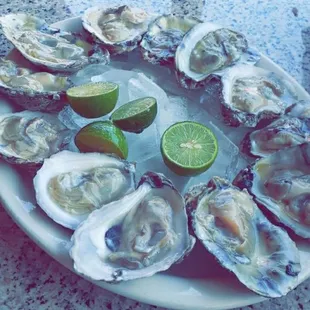 Oysters