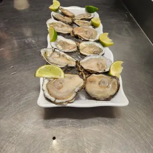 a plate of oysters