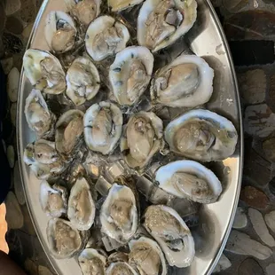 Fresh Oysters