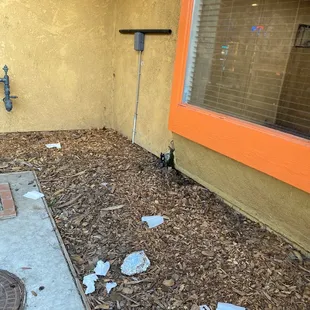 a broken fire hydrant