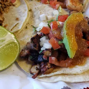 Octopus Taco