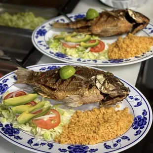 Mojarra (Tilapia) / side of rice &amp; salad $14