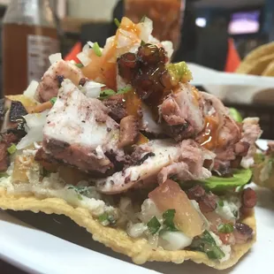 Octopus Tostada
