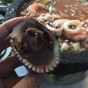 Omg Pata de Mula the best!!!! Love  there food is amazing!!!!