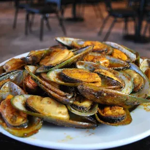 oysters, mussels, food, oysters and mussels, shellfish