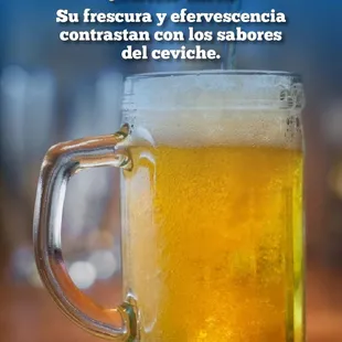  mug of beer
