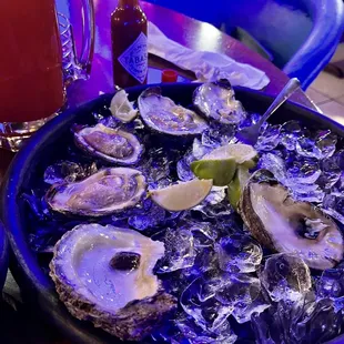 a plate of oysters