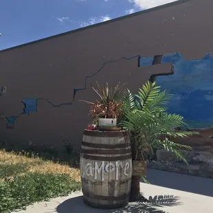 a potted plant in front of a painted wall