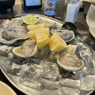 Oysters 1/2 dozen