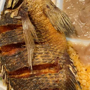 Mojarra Frita