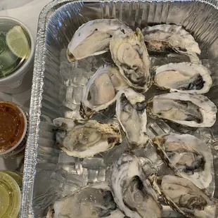 Fresh Oysters  Ostiones en su Concha