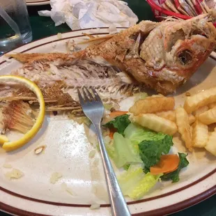 fish, seafood, grilled fish, grilled seafood, food