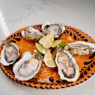 mussels, shellfish, oysters, food, oysters and mussels