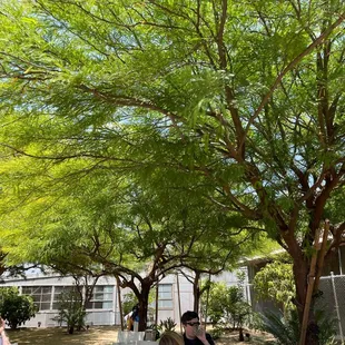 Outside