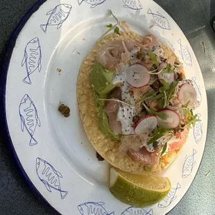 Baja Yellowtail Tostada