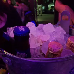 a bucket full of bottles of beer