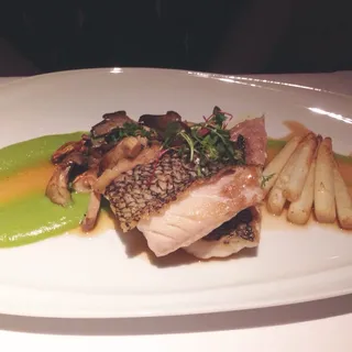 Black Bass