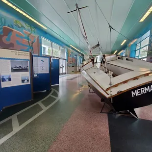 Exhibits/displays