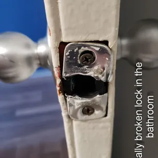 When I show these photos to the desk clerk (balding man with long hair) he threatened to evict us and told me I shouldn't get in his face,